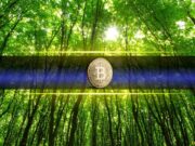 Bitcoin Metrics Mirror 2017 and 2020 Patterns, Next Stop: New All-Time Highs?