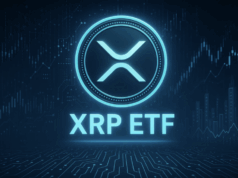 Spot XRP ETF May Launch November 13 After Canary Capital Removes Delaying Amendment