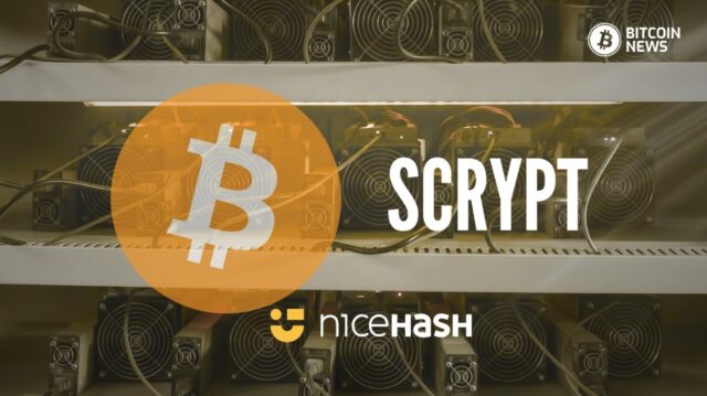 Scrypt-NiceHash.jpg
