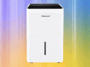 7 Best Dehumidifiers for Cool and Dry Home Air (2025)