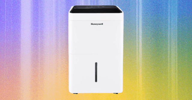 The20Best20Dehumidifiers20to20Keep20Your20Home20Cool20and20Dry.png