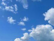 Waffles eat Bluesky | TechCrunch