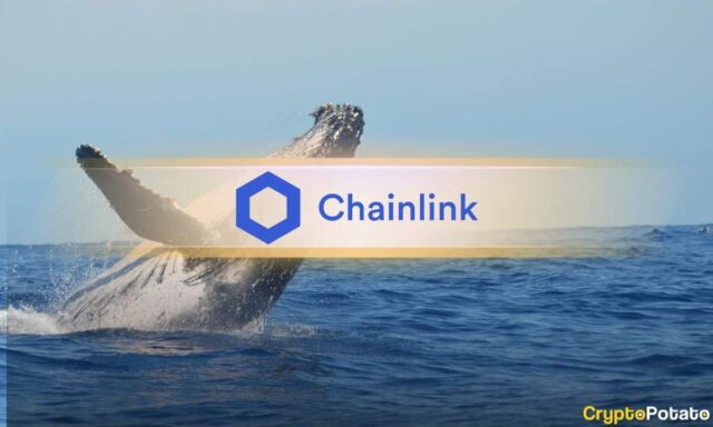 chainlink_whales_cover.jpg
