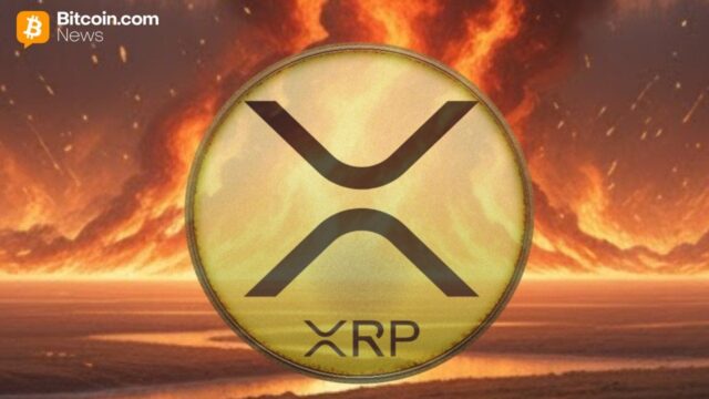 xrp-theft-secure-wallet.jpg