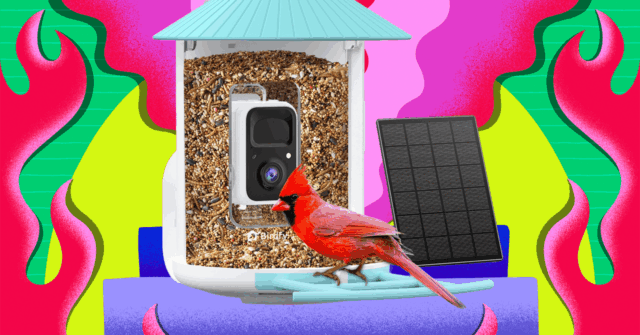 Amazon20Is20Having20an20Epic20Sale20on20Birdfy20Smart20Bird20Feeders.png