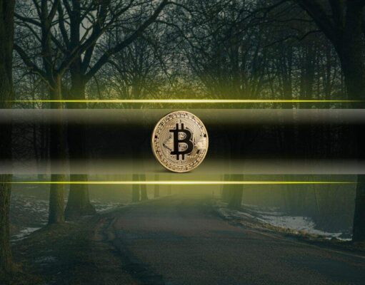 Bitcoin Liquidity Thins as US Govt Shutdown Drives an On-Chain Flight to Stablecoins