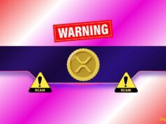 Crucial Red Flags for the XRP Army