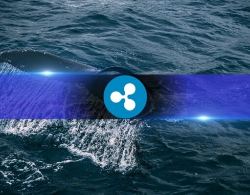 XRP Price Stalls Despite Bullish Fundamentals as Whales Keep Selling