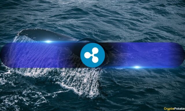 Ripple_Whale.jpg
