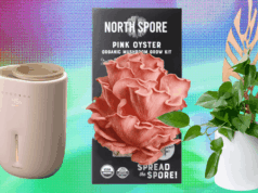 The 17 Best Gifts for Plant Lovers We’d Buy Ourselves (2025)