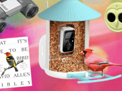 The 19 Best Tried and Tested Gifts for Bird Lovers (2025)