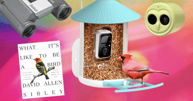 The201920Best20Gifts20for20Bird20Lovers.png