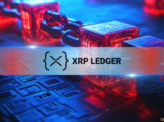 XRP Ledger Sees 8.9% Rise in Daily Transactions, NFT Activity Surges in Q3