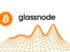 Bitcoin profit declines amid stabilization of altcoin profits: Glassnode