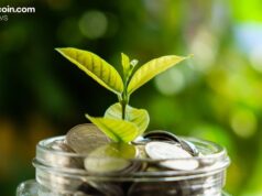 Bitcoin ETFs See Modest Inflows as Solana Stays Hot