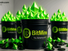 Bitmine Reveals 3.6M ETH Hoard as Chairman Flags Market Maker Weakness