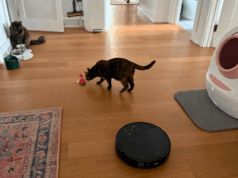 The 8 best vacuums for pet owners in 2025