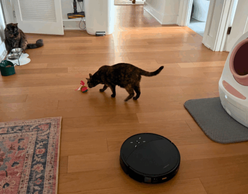 The 8 best vacuums for pet owners in 2025