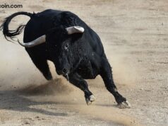 Fundstrat’s Tom Lee Disregards Crypto Market Weakness: Pain Is ‘Short Term’