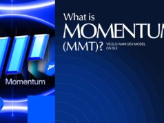 What is Momentum (MMT)? ve(3,3) AMM DEX Model on SUI