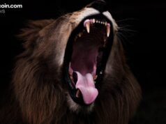 Bitcoin Eyes Explosive Rebound With Nasdaq-Size Moves Poised to Flip