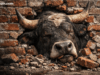 XRP Bulls Slam Into the $2 Wall—Momentum Wrecked at Resistance