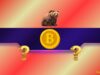 Is Bitcoin Really in a Bear Market and Where Is the Bottom?