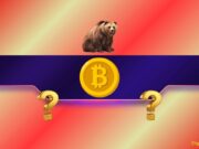Is Bitcoin Really in a Bear Market and Where Is the Bottom?