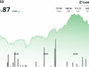 Binance Exec Sees 2026 ‘Bullish Reset’ as Hype Coins Fade