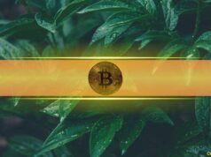 Bitcoin’s Leverage Ratio Drops Sharply