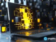 Building and scaling the ecosystem