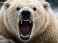 Bitcoin Price Action Tightens as Indicators Hint at Fatigue