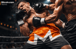 Privacy Coins Take a Beating as Bitcoin’s Slide Hits the Sector Hard