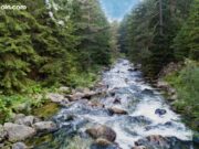 Arthur Hayes-Backed RIVER Coin Skyrockets 1,200% in Three Weeks