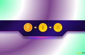 XRP, BTC, or ETH? The Winner of the Trump Presidency is the One the SEC Hated Most (Gemini Speculates)