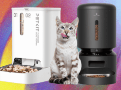These 10 Automatic Cat Feeders Were the Best We Tested (2026)