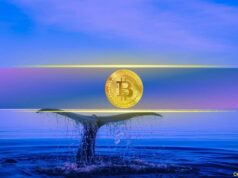 Bitcoin Whale Wallets Near Crucial Threshold as BTC Trades Close to $68K