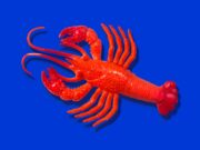 OpenClaw creator Peter Steinberger joins OpenAI