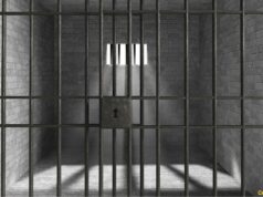 South Korea Jails Crypto CEO in First-Ever Case Under New Virtual Asset Law