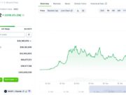 What Is Punch Crypto? Solana Meme Coin Surges 80,000% Since Recent Launch