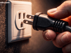 Aave Labs Pulls Plug on Avara Branding, Keeps Family Infrastructure