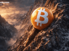 From Boom to Bruised: Bitcoin Claws Back After Crash to $60K