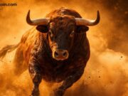 Crypto Bull Run Forming as 9 Major Forces Align, Bitwise Says