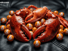 Openclaw’s 20+ Crypto Capabilities — and Why Verification Matters