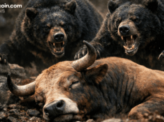 Relief Rally or Lower High? Bitcoin Tests Critical Resistance at $64K–$67K