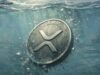 XRP Sees Panic Selling as Glassnode Data Shows Significant Holder Losses