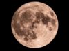 Moon phase today explained: What the Moon will look like on February 25, 2026