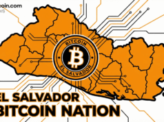 ‘Not A Stock:’ El Salvador Defends Bitcoin Purchases Amid Market Slump