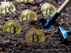 The Final Million: Why Experts Say 20 Million BTC Mined Cements ‘Provable Scarcity’