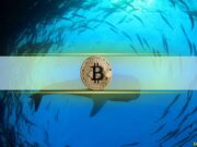 Are Whales Tightening Their Grip on Bitcoin Exchange Supply?